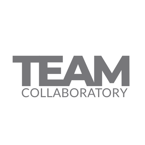 TEAM-words-grey.png