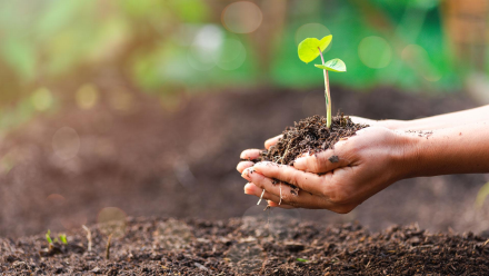 Environmental Sustainability in Health Care: From Operating Rooms to Emissions Reduction