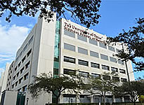 McGovern Medical School