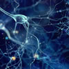 Texas Institute for Restorative Neurotechnologies TIRN Image